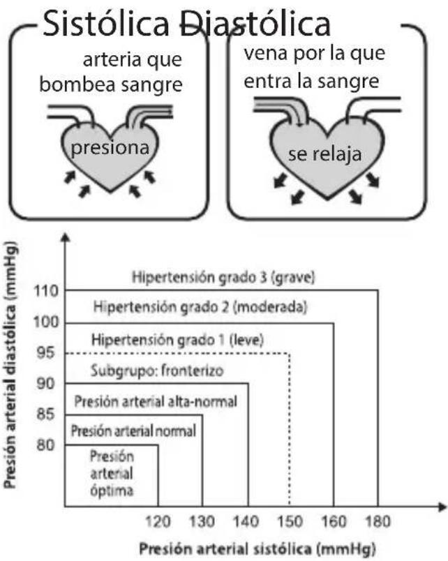 HOMEDICS BPW1000EU - ¿Cuál es la clasificación estándar de la presión arterial? - 1