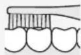 PANASONIC EWDS90K - Bite (back teeth) - 1