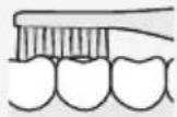 PANASONIC EWDS90S - Mordida (dentes deTRS) - 1