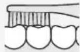 PANASONIC EWDS90S - Mordisco (dentes posteriores) - 1