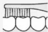 PANASONIC EWDS90S - Bite (back teeth) - 1
