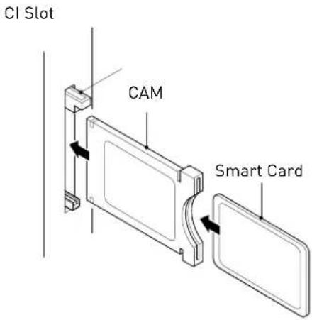 Innosol Manhattan - USING YOUR COMMON INTERFACE SLOT Common Interface - 1