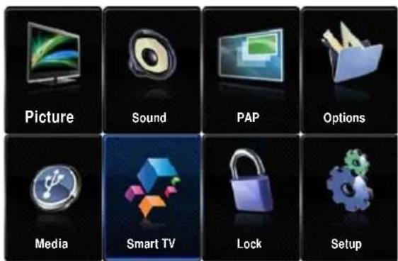 PEAQ PTV552403S - On screen display - 3