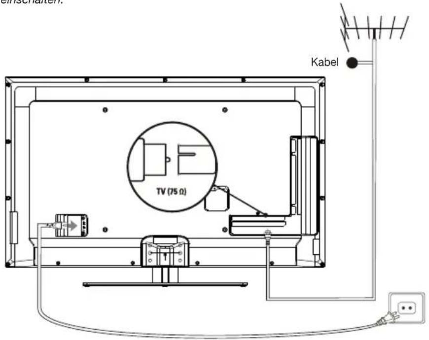 PEAQ PTV552403S - Netz- und Antennenanschluss - 1