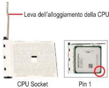 GIGABYTE GAC1007UN - Installazione di una CPU AMD (saltare questa fase se la schedamadre ha una CPU integrata) - 1