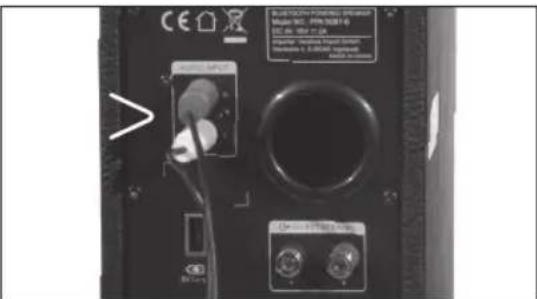 PEAQ PPA100BTW - WIRED SOURCES - 1