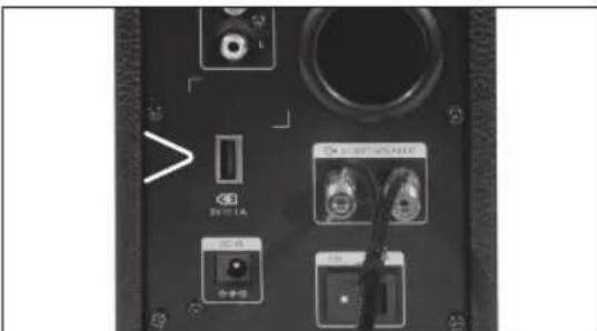 PEAQ PPA100BTB - USB-LAADPOORT - 1