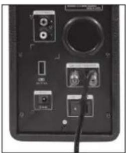 PEAQ PPA100BTB - ALTAVOCES - 1
