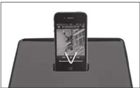 PEAQ PPA300 - AvanapayomegaiPhone/iPod - 1