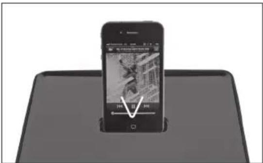 PEAQ PPA300 - BRANCHEZ L'iPOD / D'iPHONE - 1