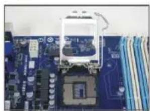 GIGABYTE GAB85MDS3H - Installation d'un processeur Intel (sautez cette étapé si la carte mère comprend un CPU intégré) - 1
