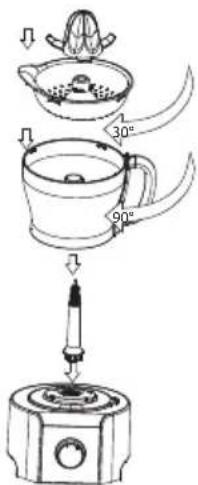 ECG KR 814 - Lis na citrusy - 1