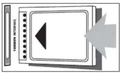 PHILIPS 19PFL3205H - COMMON INTERFACE - 1