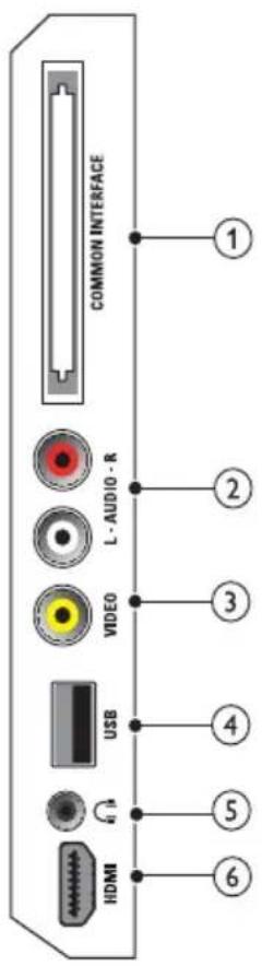 PHILIPS 19PFL3205H - IIaivn uTNOxn - 1