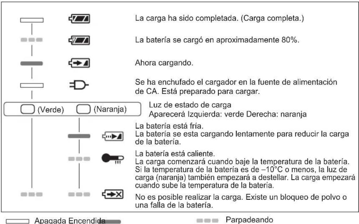PANASONIC EY 74A1 LS2G - INDICACION DE LA LÁMPARA - 1