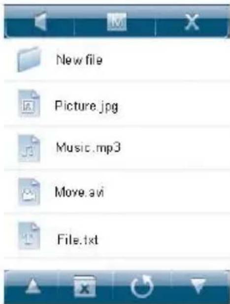 Ricatech RC3300 - Description of the picture file list interface - 1