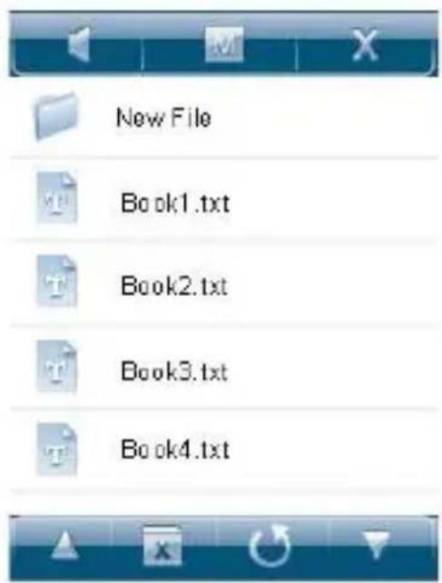 Ricatech RC3300 - E-book file list - 1