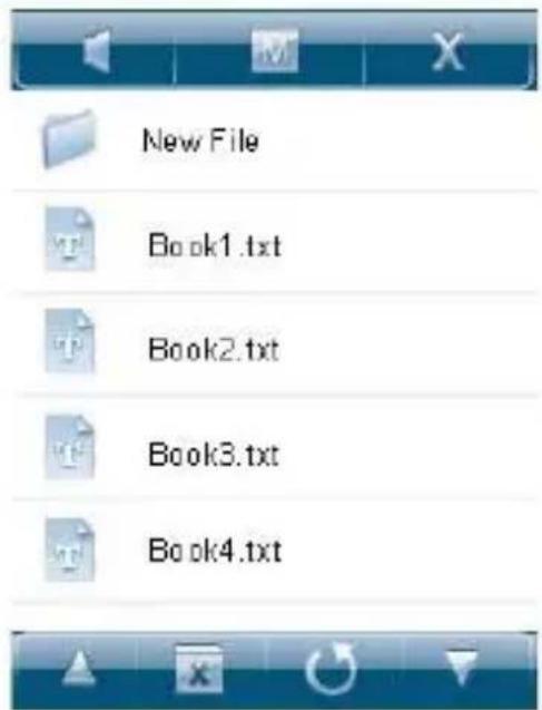 Ricatech RC3300 - La liste de dossier E-book - 1