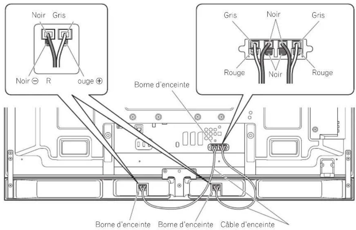 PIONEER PDPS63 - Branchez l'autre extrémité des cables d'enceinte à l'arrière du téléviseur à écran plat. - 1