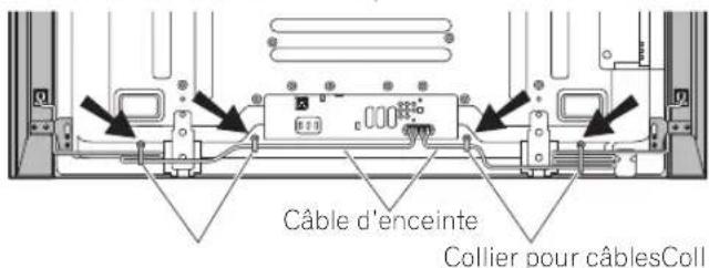 PIONEER PDPS64 - MARQUE: - 1