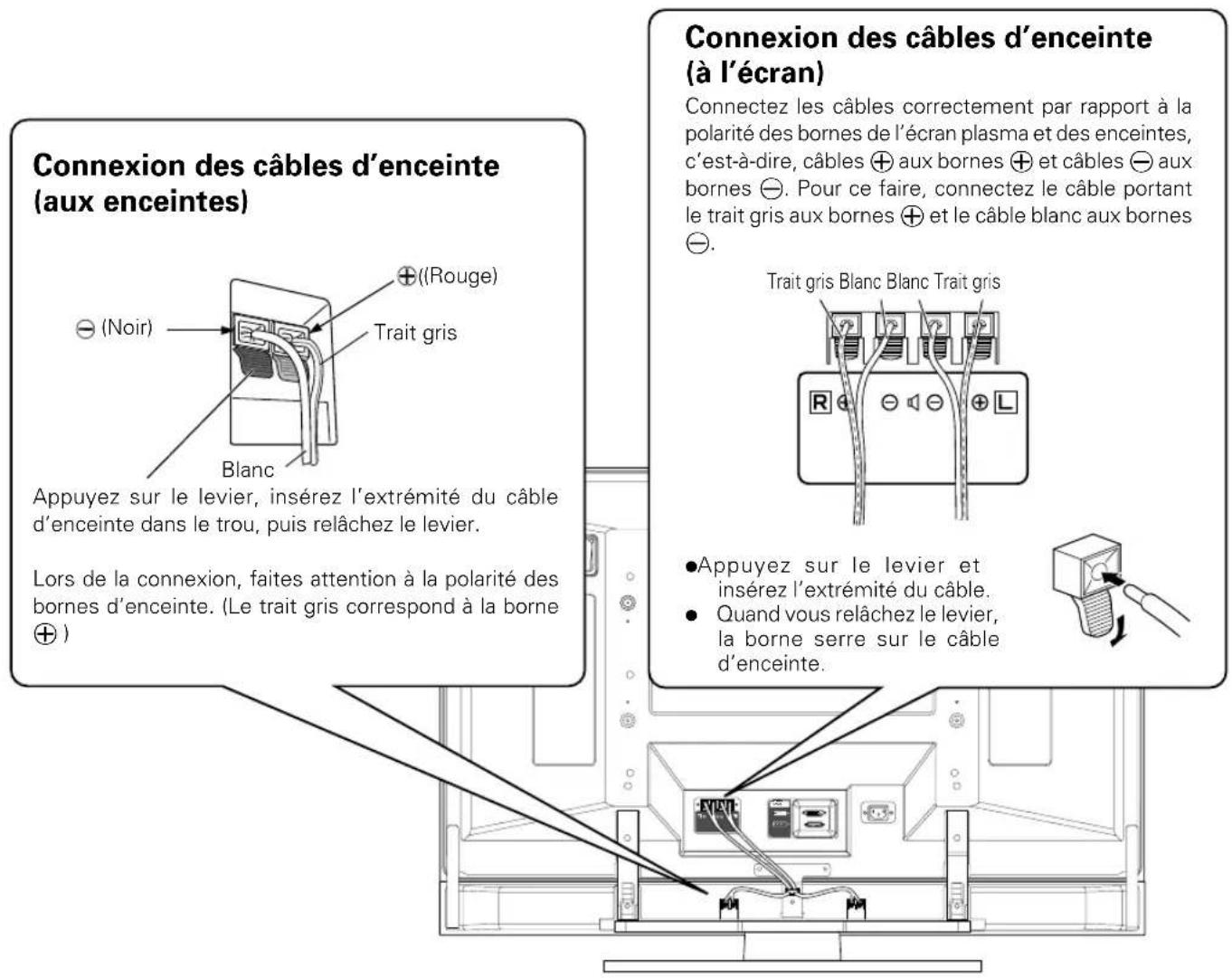 PIONEER PDPS39 - CONNEXION À UN ÉCRAN PLASMA   CONNEXION DES ENCEINTES - 1