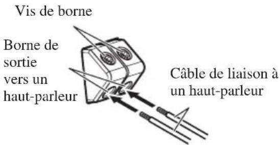 PIONEER PRSD220 - Raccordement des bornes de sortie vers les haut-parleurs - 2