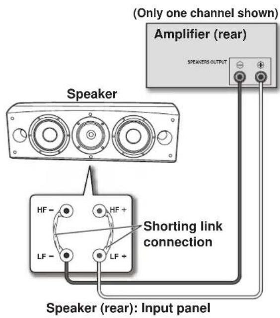 PIONEER S8EXW - Bi-Wire Connections - 1