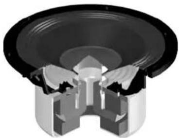 PIONEER S8EXW - Driver dei bassi - 1