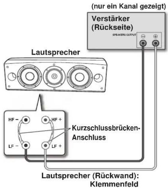 PIONEER S8EXW - Einzelverdrahtungs-Anschluss - 1