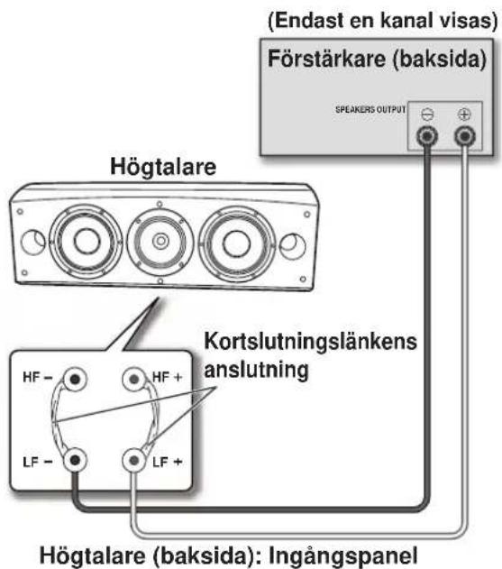 PIONEER S8EXW - Anslutning med enkelkablar - 1