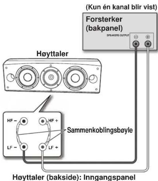 PIONEER S8EXW - Tilkoblinger med enkel-wiring - 1