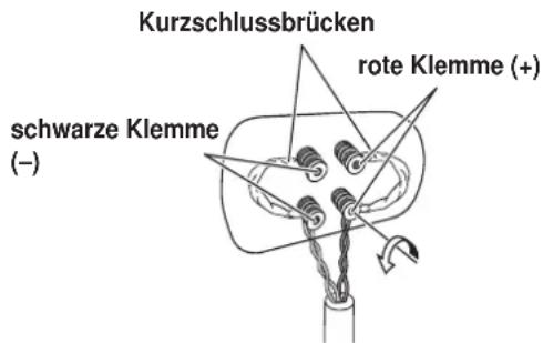 PIONEER S8EXW - Anschließen der Kabel - 1