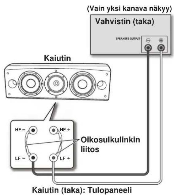 PIONEER S8EXW - Yksijohtoiset liitännät - 1