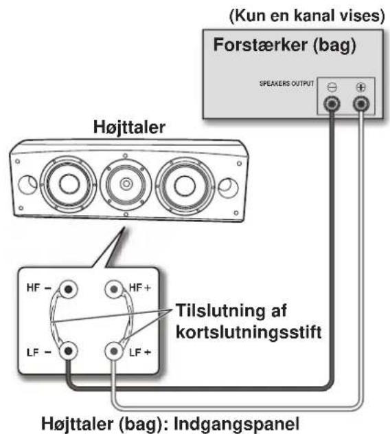 PIONEER S8EXW - Etkabels tilslutning - 1