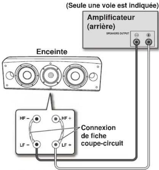 PIONEER S8EXW - Mono-câblage - 1