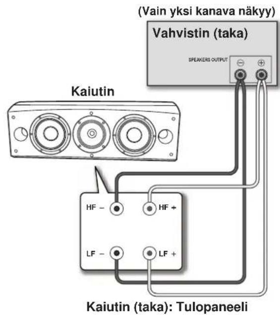 PIONEER S8EXW - Kaksijohtoiset liitännät - 1