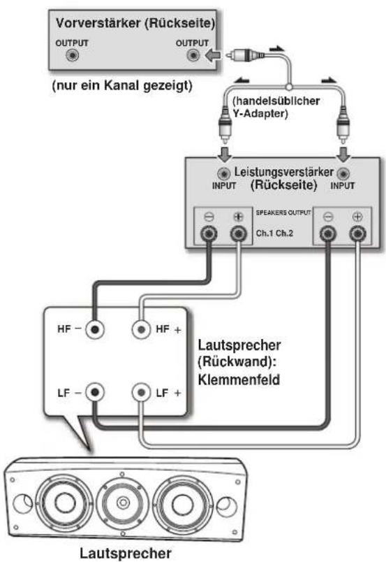 PIONEER S8EXW - Vertikaler Zweiverstärkeranschluss - 1