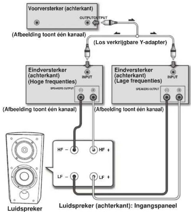 PIONEER S4EXW - Horizontale biversterking - 1