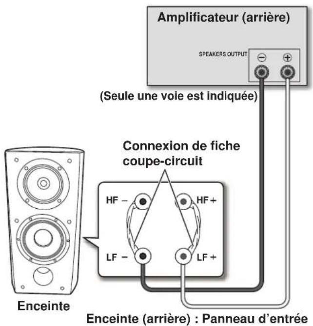 PIONEER S4EXW - Mono-cablage - 1