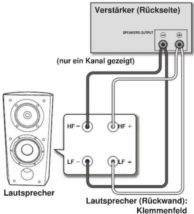 PIONEER S4EXW - Doppelverdraughtungs-Anschluss - 2