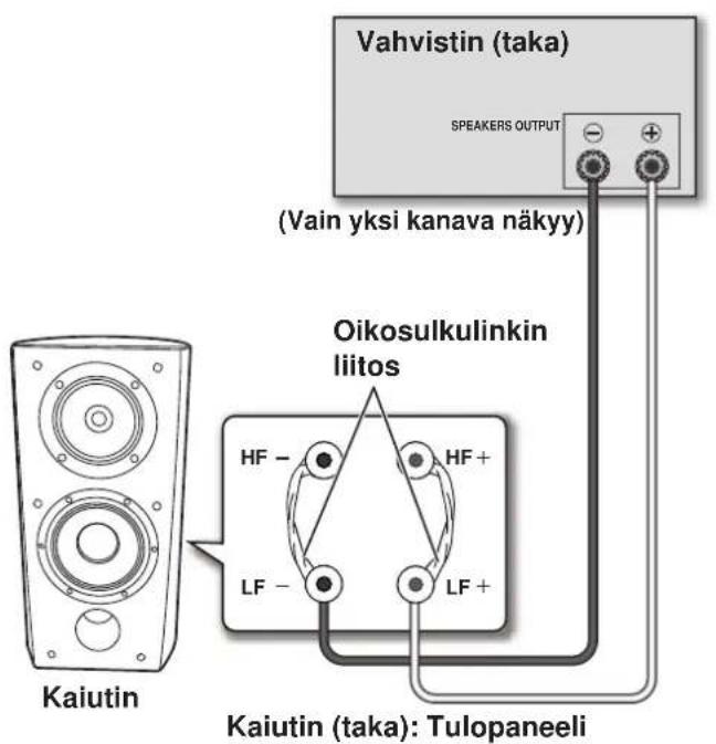 PIONEER S4EXW - Kaksijohtoiset liittannat - 1