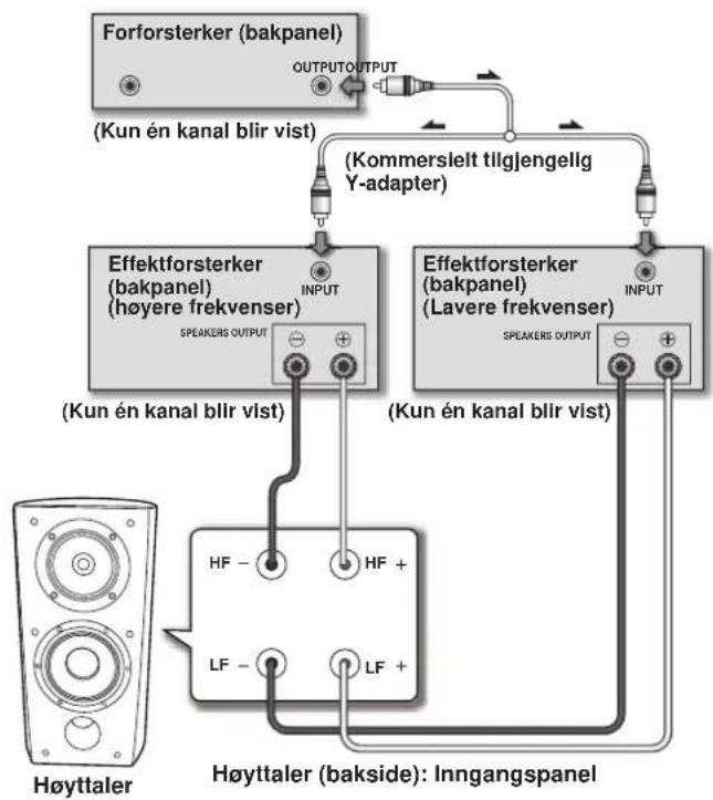 PIONEER S4EXW - Vertikal Bi-forsterkning (Bi-Amping) - 2