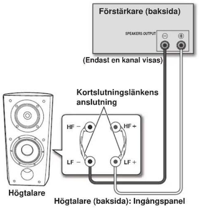 PIONEER S4EXW - Anslutting med enkelkablar - 1