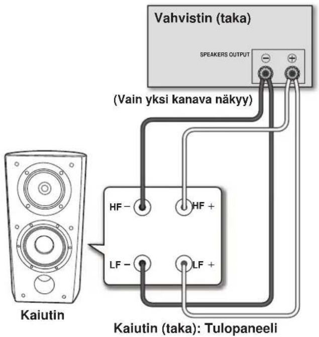 PIONEER S4EXW - Kaksijohtoiset liittannat - 2