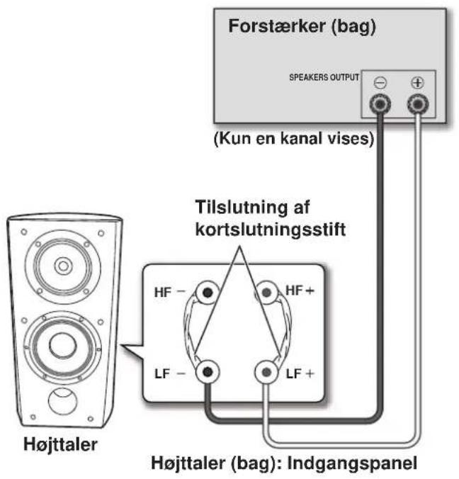 PIONEER S4EXW - Tokabels-tilslutting - 1