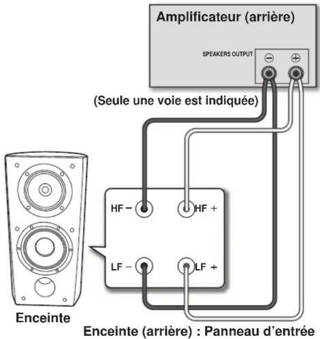PIONEER S4EXW - Bicâblage - 1