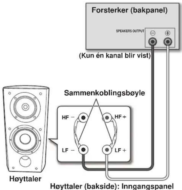 PIONEER S4EXW - Bi-Wiring - 1