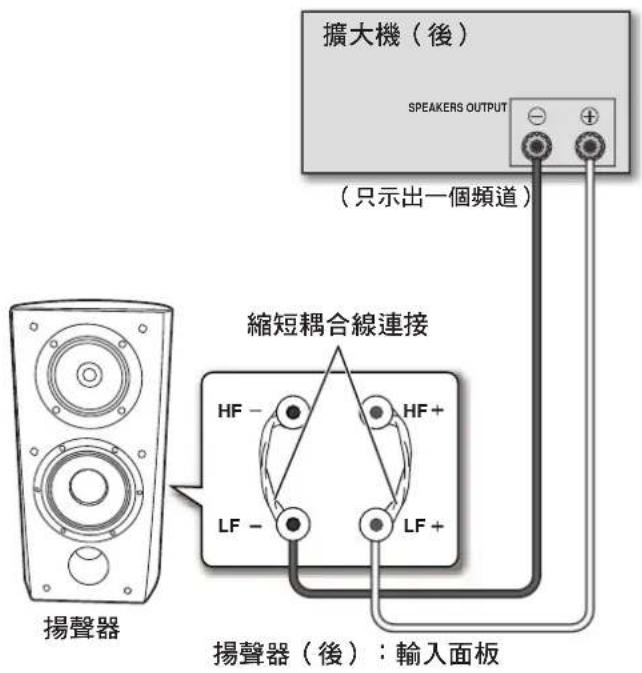 PIONEER S4EXW - 雙線連接 - 1