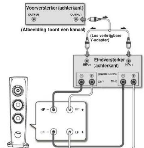 PIONEER S3EXQL - Verticale biversterking - 1