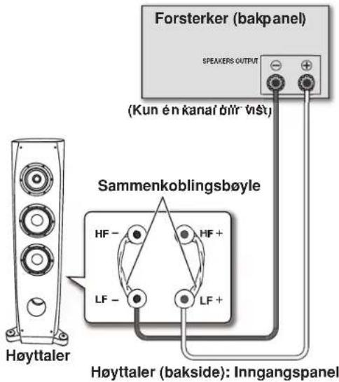 PIONEER S3EXQL - Tilkoblinger med enkel-wiring - 1